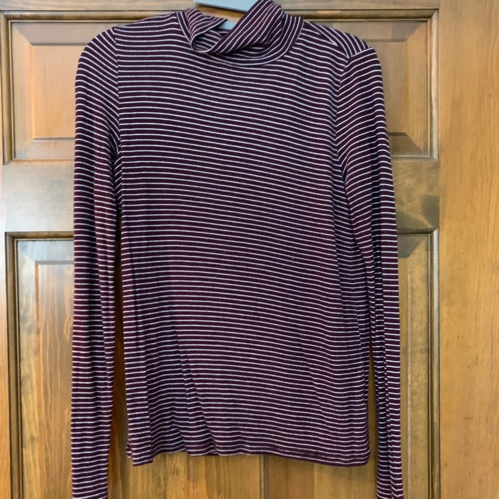 American Eagle Soft & Sexy Turtleneck